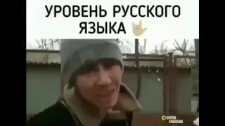 новые приколы под пивко