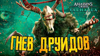 ASSASSIN'S CREED ВАЛЬГАЛЛА ● ДОПОЛНЕНИЕ 1 ● ГНЕВ ДРУИДОВ