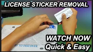 QUICK AND EASY WAY TO REMOVE LICENSE PLATE STICKER | Save your money, DIY and take care of your car!