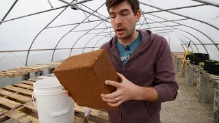 Peat Vs Coco Peat + How to Make A SIMPLE DIY Potting Mix