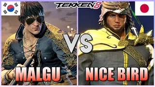 Tekken 8 ▰ Malgu (Law) Vs Nice Bird (Shaheen) ▰ Ranked Matches!