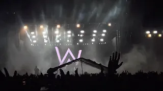 Alan Walker Concert Bangalore 2022 Final Performance Faded | #AlanWalker #SunBurn #Bengaluru2022