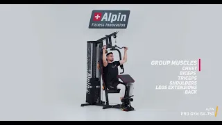 Силовой тренажер Alpin Pro Gym GX 750