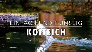 Günstigen Koi Koiteich 🐟 Selber bauen - Garten Highlight mit  kleinen Kosten 👍 So geht es...