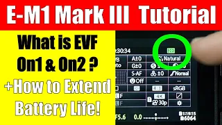 Olympus E-M1 Mark III: What is EVF On2 & How to Extend Battery Life