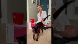 Покажи натуральное питание для кошек SUPERPET — видео-распаковка и отзыв от кота Балу и его хозяйки