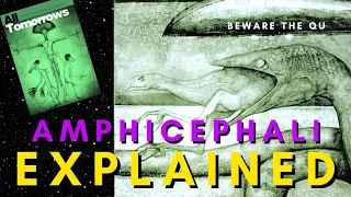 The Amphicephali Explained | Species Profile (All Tomorrows Lore)