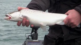 Wisconsin Browns and Cohos - Derek Proulx and Patrick Fritz