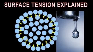 Surface Tension - What is it, how does it form, what properties does it impart