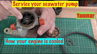 Service your Sea Water / Raw Water Pump.  How it's cooled. Part 2 Yanmar Sailboat Engine.