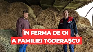 În ferma de oi a familiei Toderașcu din Lunca Banului, Vaslui