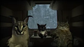 Шлёпа, Чмоня и кот Степан едут в поезде под думерскую музыку