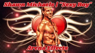 [RAE] Shawn Michaels Theme Arena Effects | "Sexy Boy"