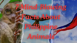 7 Mind-Blowing Facts About Philippine Animals
