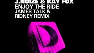 Roy Davis Jr feat. J Noize & Kaye Fox  - Enjoy The Ride (Human Life Remix)