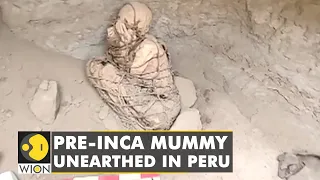 800 years old mummy discovered in Peru | Mummification | Latest English News | World News