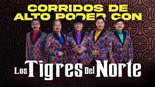 Corridos de Alto Poder Con Los Tigres del Norte