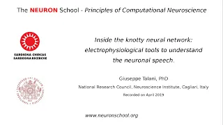 Inside the knotty neural network. - Dr. Giuseppe Talani