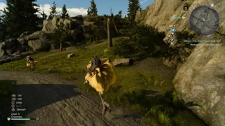 Final Fantasy XV: Where the Wild Chocobos Are - Quest Walkthrough