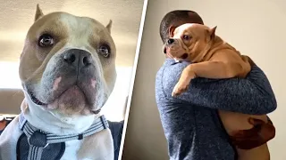 60-pound dog turns grown man to mush