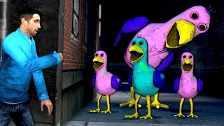 BABY OPILA BIRDS ARE AFTER ME! (Garry's Mod)