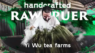 Manual production of Sheng Puer on the Yi Wu. Puer Tea in bamboo tubes and tea farmers.