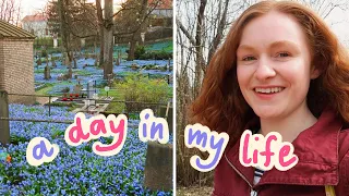 Day in my Life VLOG! | Bernardine Cemetery, shopping, Šnipiškės 🌼