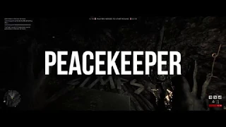Battlefield 1 - Peacekeeper (Is It Worth It?)
