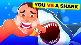 YOU vs A SHARK - Could You Survive And Defeat It? (Jaws Movie)