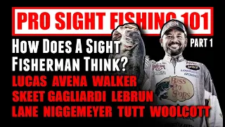 MLF Pros Teach Sight Fishing 101 - Part 1: How Does A Sight Fisherman Think?