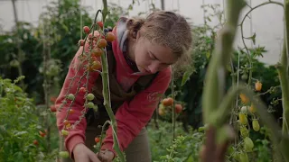 Farma Lukava: Proč je vzdělávání stážistů klíčem k budoucnosti ekologického zemědělství