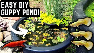 HOW TO BUILD AN EASY DIY GUPPY POND! (STEP BY STEP TUTORIAL)