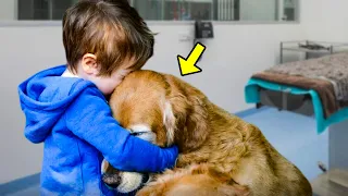 5-Year-Old Held Dog with Tumor That Was about to Be Euthanized. What Happened Next Is Heart-Melting!