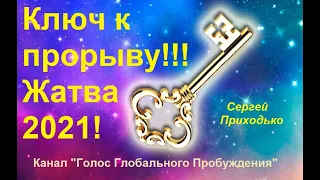 КЛЮЧ к прорыву! Жатва 2021! Сергей Приходько