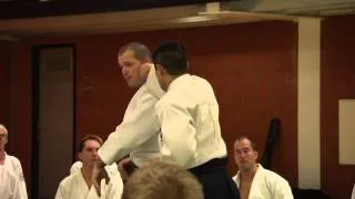 De essentie van Aikido