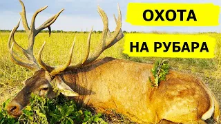 Охота на рубара. В поисках охотничьих трофеев. (Охотник и рыболов)