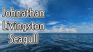 Jonathan Livingston Seagull Audiobook (FULL)