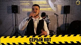 THEDVIЖ #2 Серый Кот (B.U.R.B.O.N.)