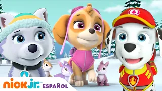 Paw Patrol, Patrulla de cachorros | ¡Salvando a Skye de la tormenta de nieve! | Nick Jr. en Español