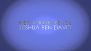 Dan and Melissa David - A Song for the People (LYRICS VIDEO)