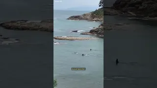 Frightening Orca Whale encounter for two children