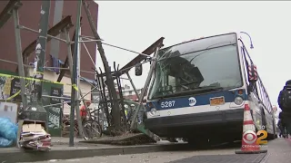 Bird Blamed For MTA Bus Crash