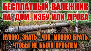 ИЗБА В ЛЕСУ ИЗ ВАЛЕЖНИКА И ЗАГОТОВКА ДРОВ. Бесплатные дрова БЕЗ ШТРАФА. Валежник, сухостой, бурелом.