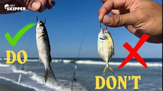 EPIC Surf fishing Method w/ LIVE Bait | Do’s and Don’ts to Catch MORE Fish | Top Beach Fishing Tips