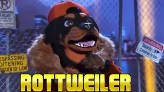 Masked Singer Rottweiler performance  | Maneater  | Season 2 Episode 1