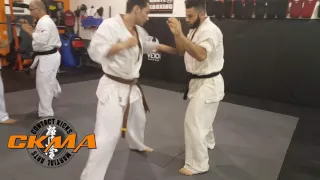 Kyokushin karate fighting combinations