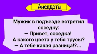 Соседка Без Трусов! Сборник Веселых Жизненных Анекдотов! Юмор!