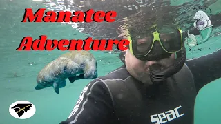 Swim With Manatees Great Gift Idea