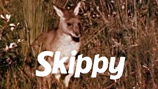 Classic TV Theme: Skippy