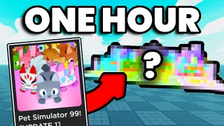 I Made Pet Simulator 99 in 1 Hour..